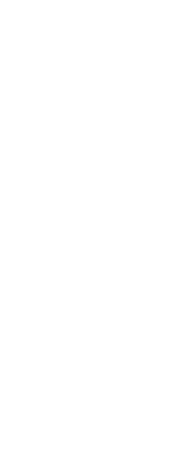 梗絲　通販